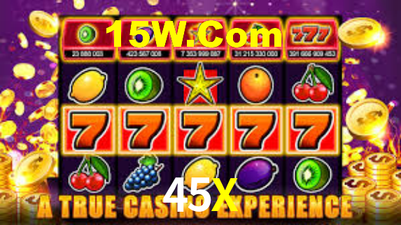 45X App Interface